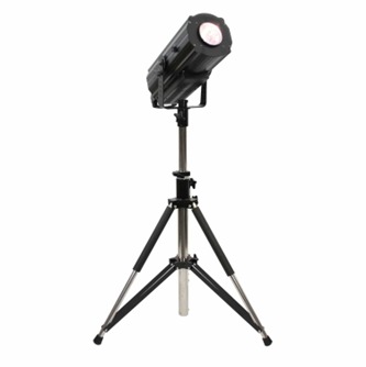 fs300